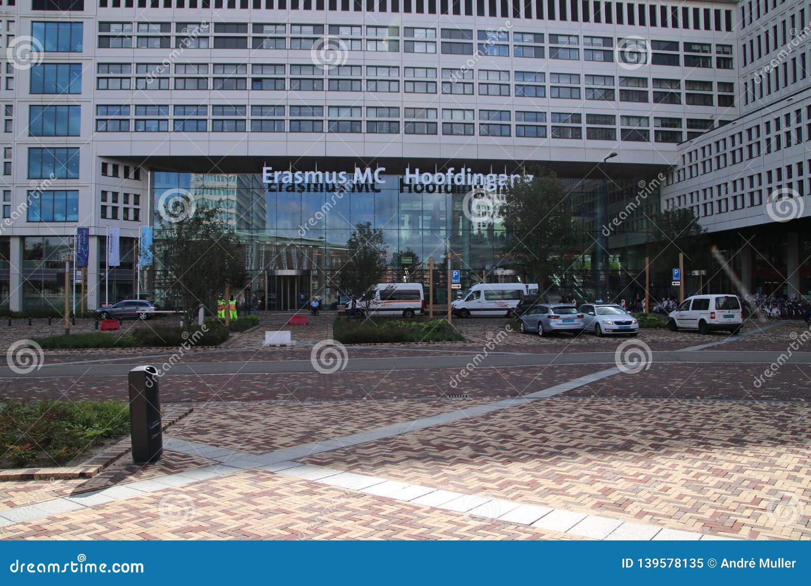 Doctor profile 4